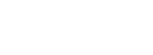 Flori Flowers